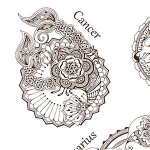 Meet your Posher, Jessenia